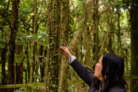 Environmental monitoring and Maramataka