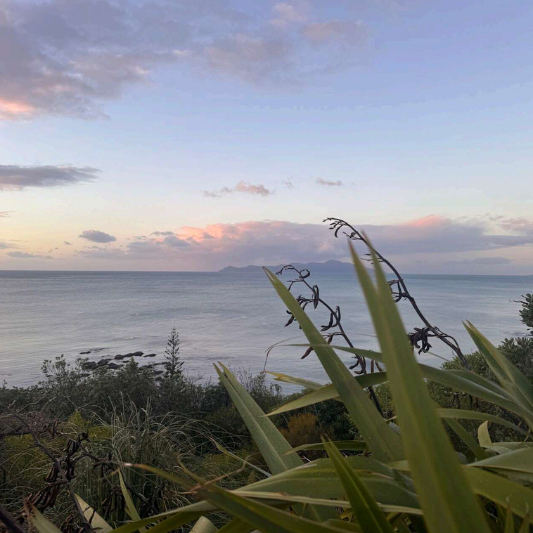 The MacDiarmid Institute Update June 2025